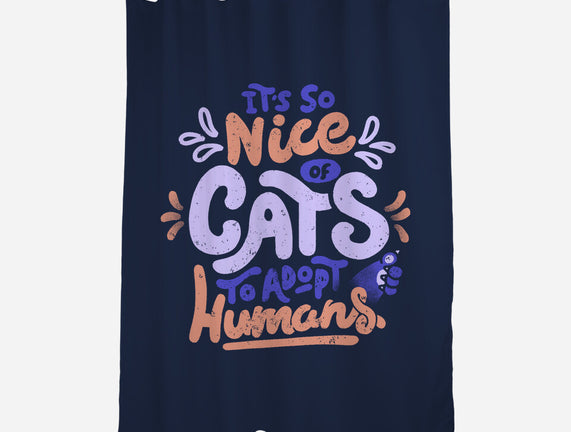 Cats Adopt Humans