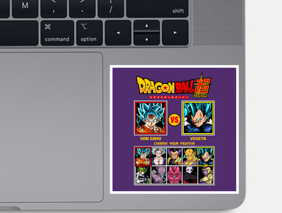 Saiyan Fighter