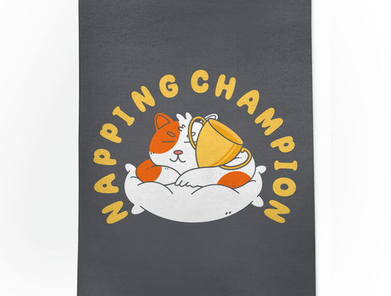 Napping Champion