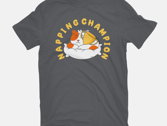 Napping Champion