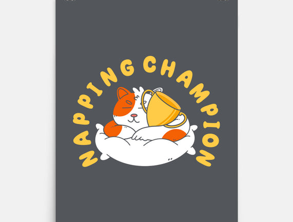 Napping Champion