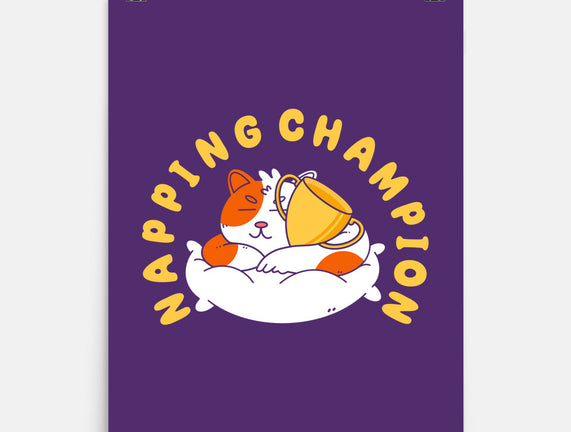 Napping Champion