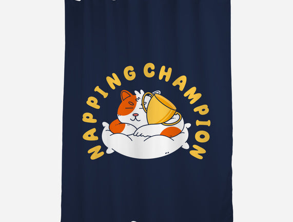 Napping Champion