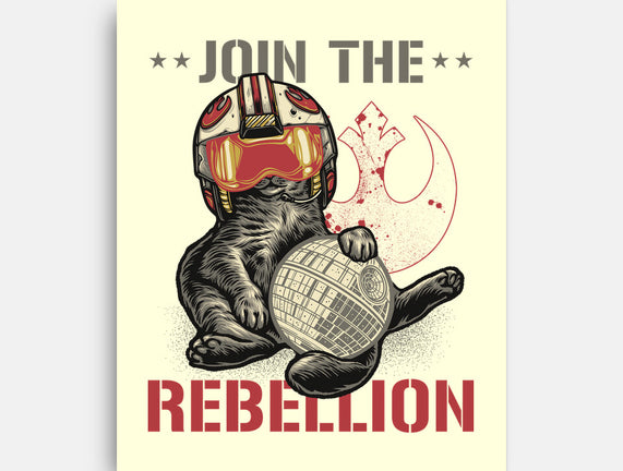 Join The Cat Rebellion