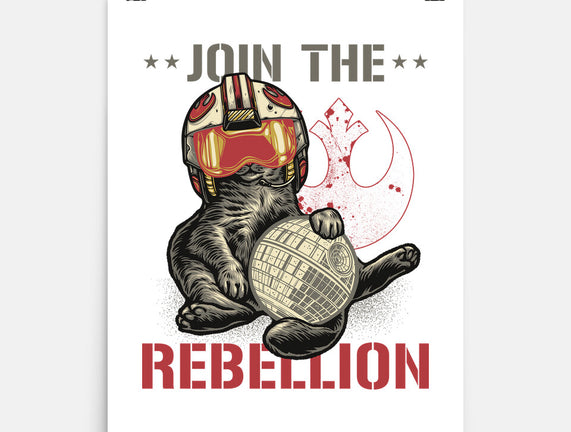 Join The Cat Rebellion