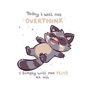 No Thoughts Raccoon No Thoughts Raccoon