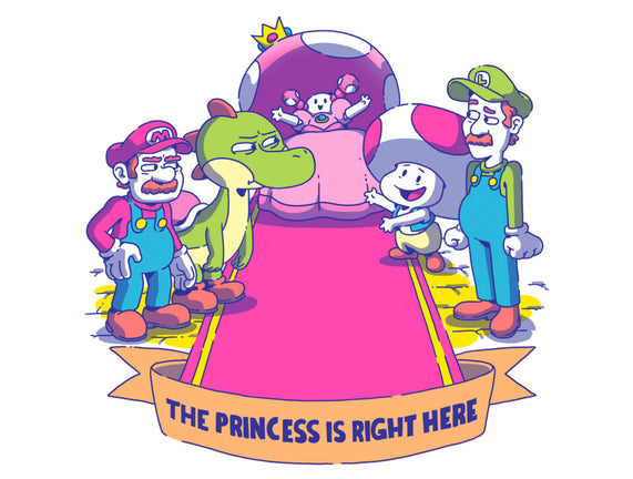 The Princess Is Right Here
