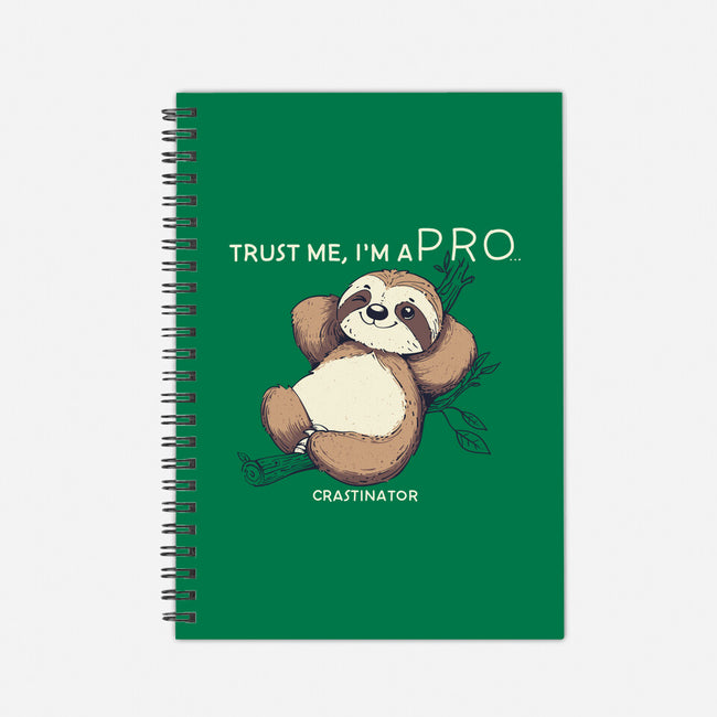 I'm A Pro-None-Dot Grid-Notebook-sebasebi