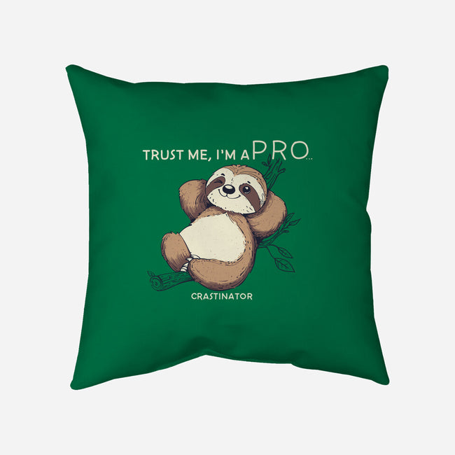 I'm A Pro-None-Removable Cover-Throw Pillow-sebasebi