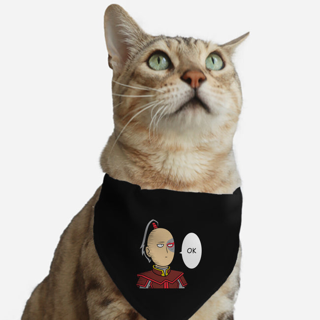 Ok Fire Bender-Cat-Adjustable-Pet Collar-krisren28
