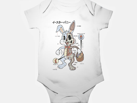 Easter Bunny Anatomy