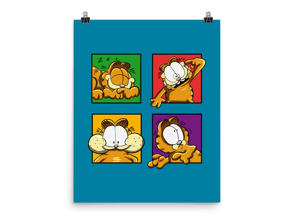 Orange Cat Emotions