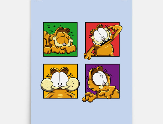 Orange Cat Emotions