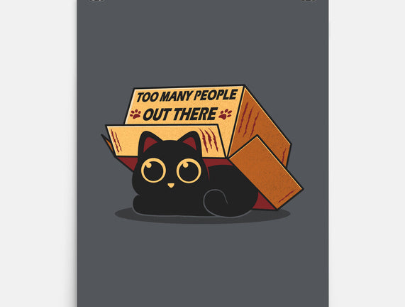 Too Many People Out There
