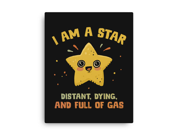 I Am A Star