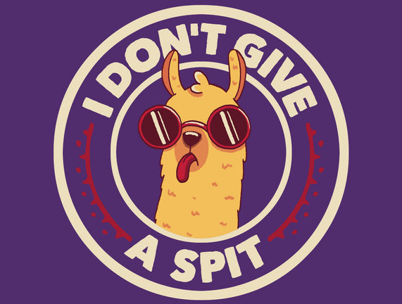I Don't Give A Spit