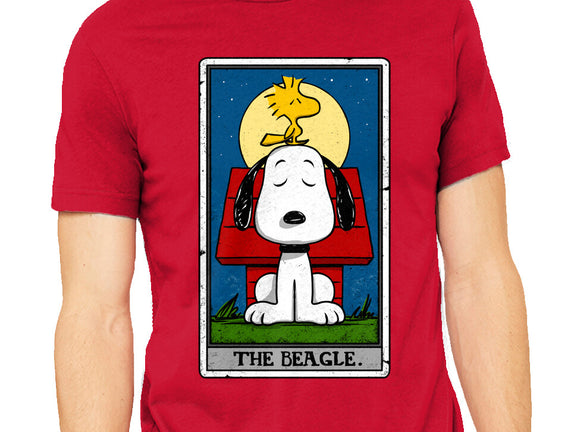 The Beagle