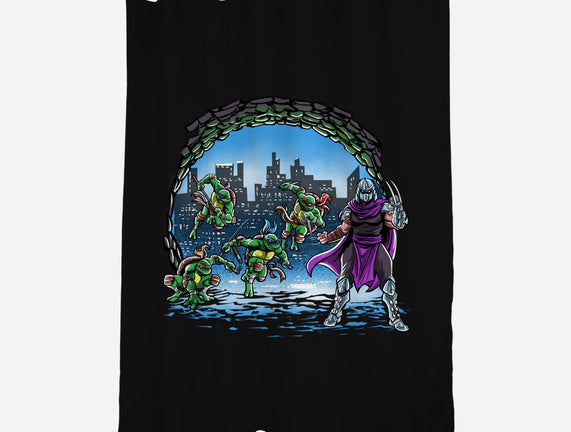 Turtles Cover