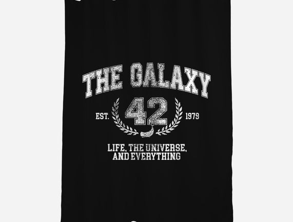 The Galaxy