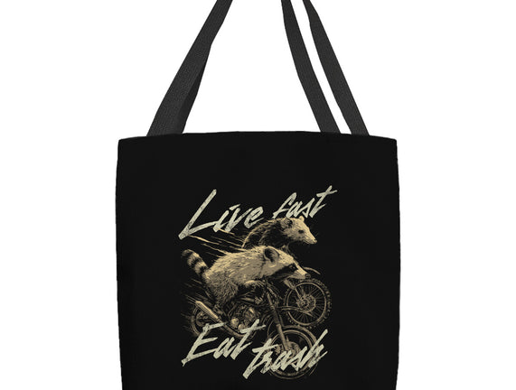 Raccoon Live Fast Eat Trash