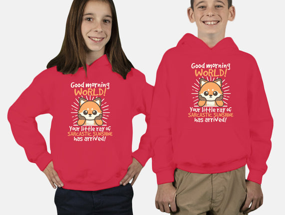 Fox Sarcastic Sunshine