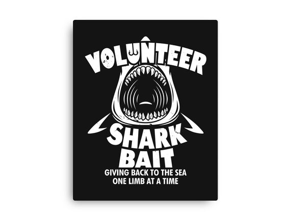 Volunteer Shark Bait