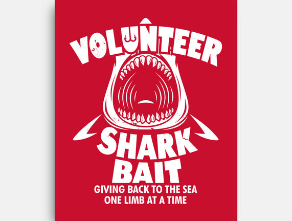 Volunteer Shark Bait