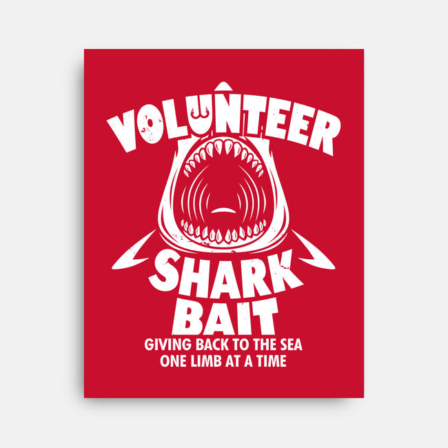 Volunteer Shark Bait-None-Stretched-Canvas-Boggs Nicolas