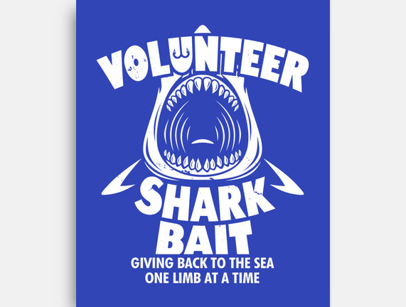 Volunteer Shark Bait