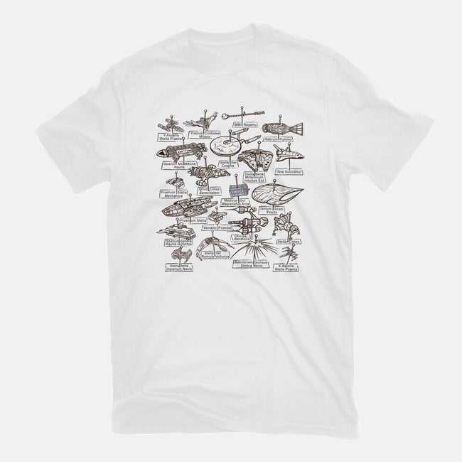 The Collection-Womens-Fitted-Tee-kg07