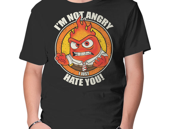 Not Angry I Just Hate You