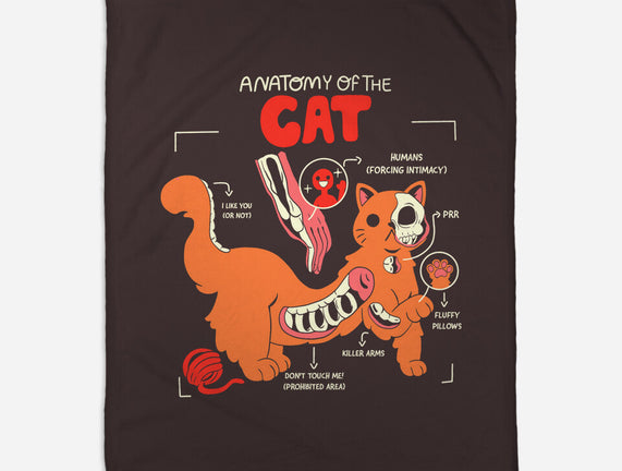 Anatomy Of The Cat