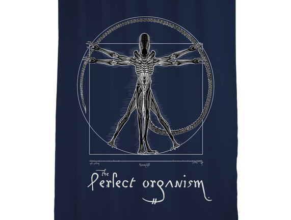 Perfect Organism