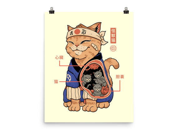 X-Ray Kaiju Cat