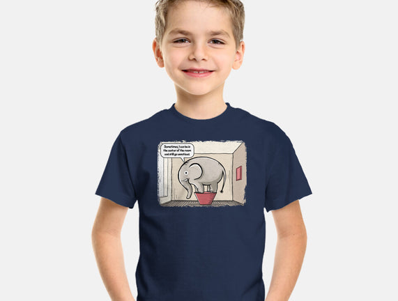 Elephant In The Room