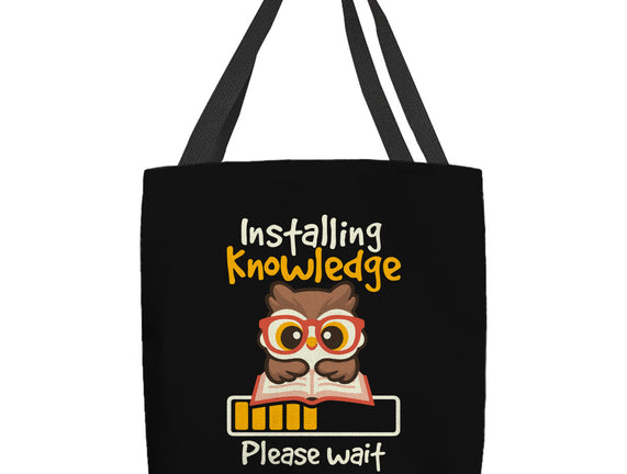 Installing Knowledge