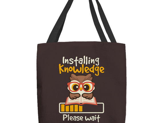 Installing Knowledge