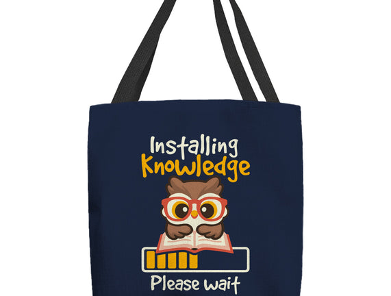 Installing Knowledge