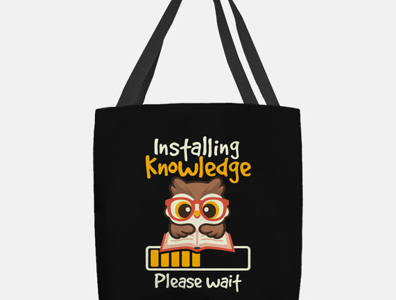 Installing Knowledge
