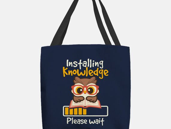 Installing Knowledge