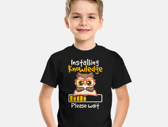 Installing Knowledge