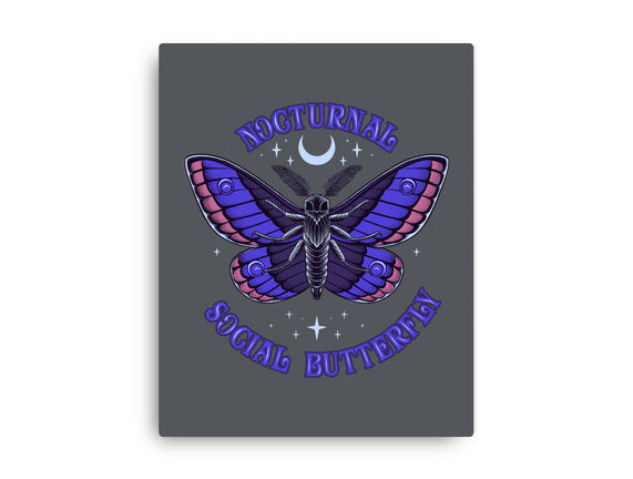 Nocturnal Social Butterfly