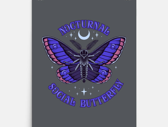 Nocturnal Social Butterfly