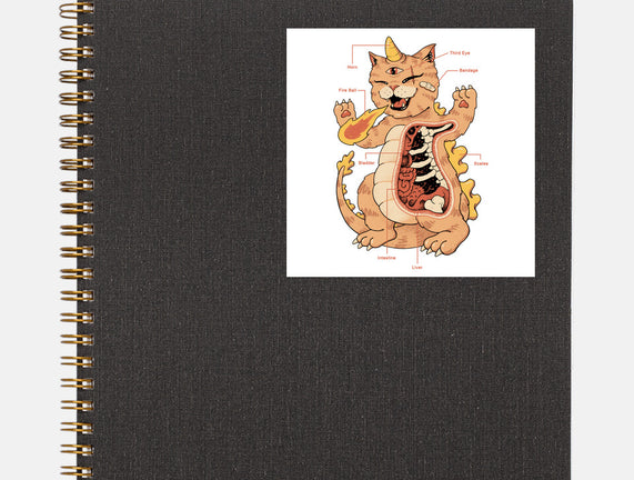 X-Ray Kaiju Meowster