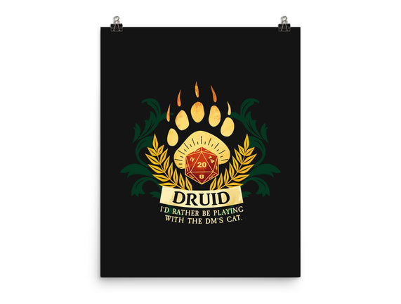 Druid D20