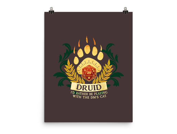 Druid D20