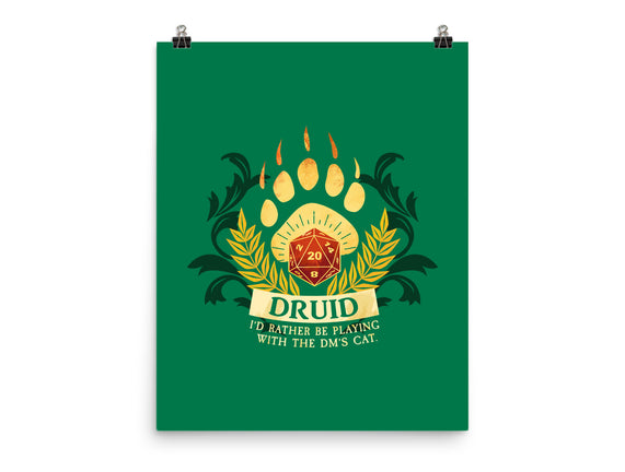 Druid D20