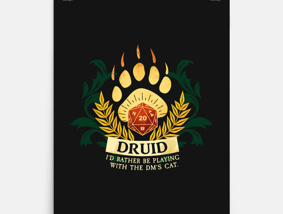 Druid D20