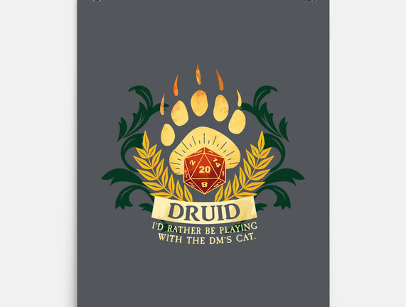 Druid D20