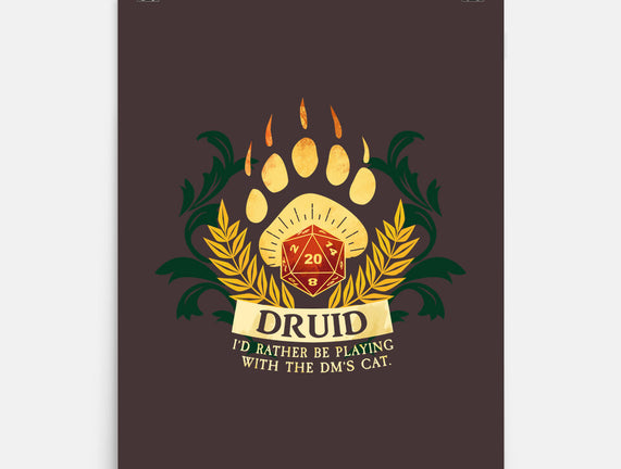Druid D20